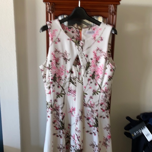 Dress - Picture 1 of 5